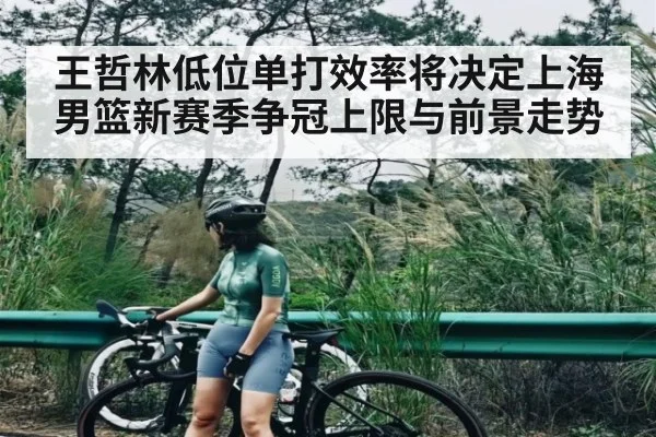 王哲林低位单打效率将决定上海男篮新赛季争冠上限与前景走势 | kaiyun